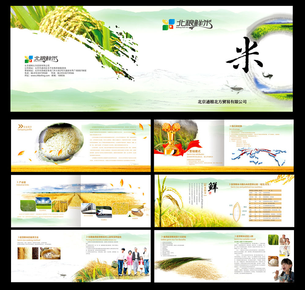 图册排版设计    农业产品画册设计,大米画册设计，大米宣传册设计
